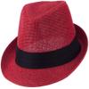 Ashen Fane Kid's Paper Straw with Black Band Fedora Hat, Red view 1