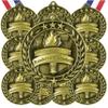 10 Pack Readers are Leaders Gold Medals Trophy Award with Neck Ribbons WAMG-997 view 1