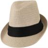 Ashen Fane Kid's Paper Straw with Black Band Fedora Hat, Tan view 1