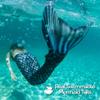 Fin Fun Mermaidens - Mermaid Tails for Swimming for Women, Teens and Adults with Monofin, Small, Barracuda Black view 2