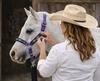 CHALLENGER Nylon Horse Padded Beaded Inlay Halter w/Lead Rope Purple 606175PR view 2