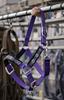 CHALLENGER Nylon Horse Padded Beaded Inlay Halter w/Lead Rope Purple 606175PR view 3
