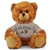 Sport Town Colorado Buffaloes Stuffed Bear - 11" view 1