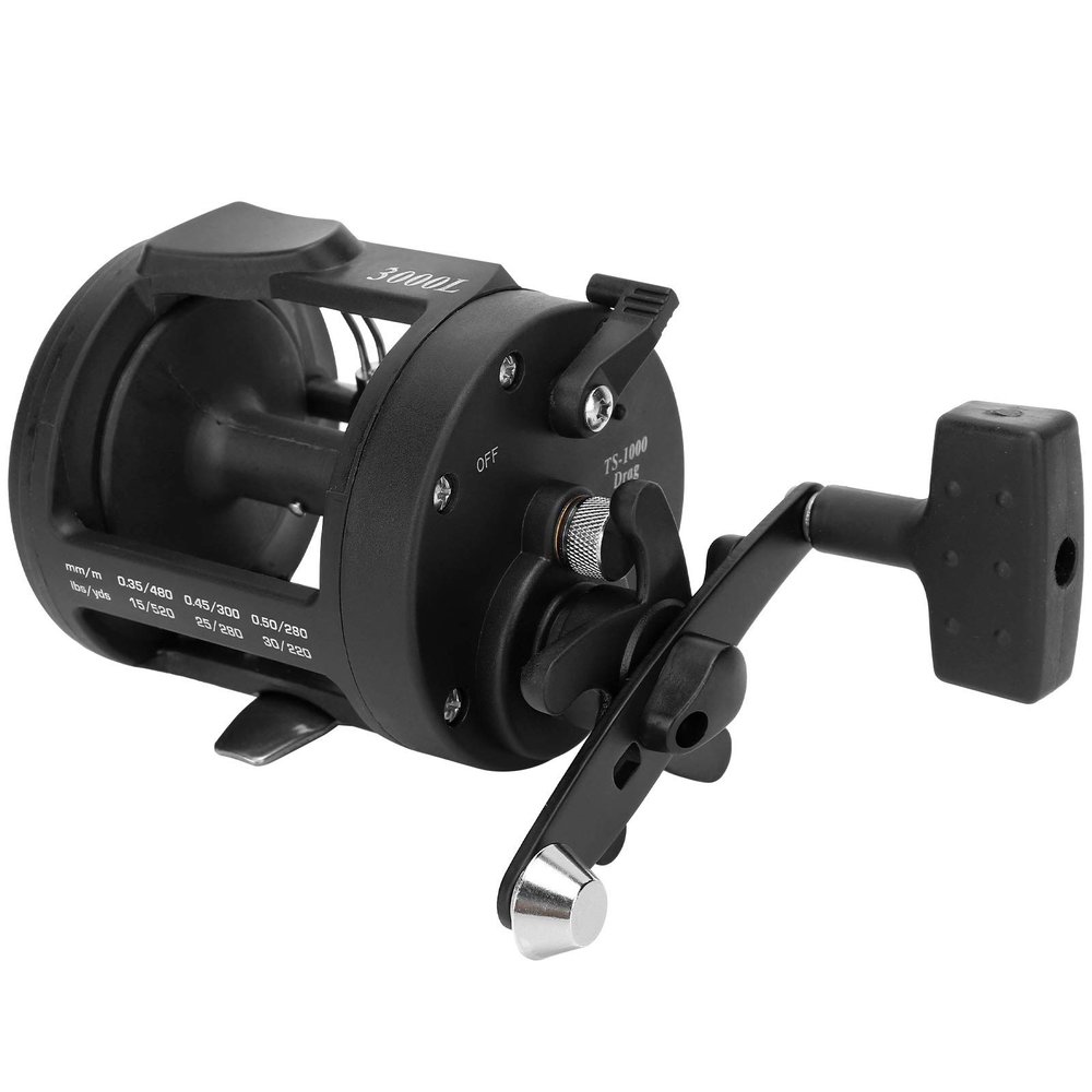 Fishing Reel Baitcasting Reel Sea Fishing 1BB Fishing Reel Baitcasting Reel Fishing Wheel Accessory(3000L)