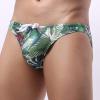 Digood Men's Underwear Swim Trunks Low-Rise Printing Smooth Men's Brief Swimming Briefs Men Swimwear (Green,X-Large) view 4