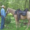 Circle Y Tucker Adventurer Horse Saddle Bag | Durable 1680D Water-Resistant Trail Riding Gear with Detachable Cantle Bag, Drink Holders, Rain Cover for All-Day Adventures, Graphite Gray view 3
