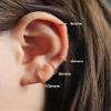 925 Sterling Silver Hoop Earrings for Women - 3 pairs Hypoallergenic Lightweight Hoops Fashion Earrings (8/9/10mm) view 4