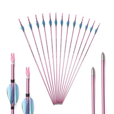 900 Spine Arrow 24 Inch Arrow Target Practice Arrow Hunting Arrow Carbon Arrows Compound Bow Recurve Bow Adult Youth Archery Indoor Outdoor Shooting Bullet Tip 12pc
