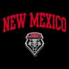 UGP Campus Apparel AL03 - New Mexico Lobos Arch Logo Long Sleeve - Large - Black view 2