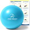 ProBody Pilates Small Exercise Ball - 9 Inch Workout Ball for Stability, Barre, Yoga, Core & Physical Therapy, Home Gym & Office Use (Teal) view 1