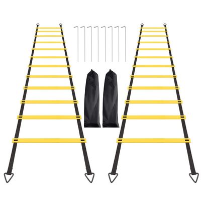 RUBY.Q 2 Pack 12 Rungs Agility Ladder Set, Speed Training Ladder with Steel Stakes and Carry Bag for Soccer, Speed Fitness Feet Training