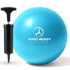 ProBody Pilates Small Exercise Ball with Pump - 9 Inch Workout Ball for Stability, Barre, Yoga, Core & Physical Therapy, Home Gym & Office Use (Teal) view 1