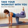 ProBody Pilates Ball 9 Inch - Small Exercise Ball for Stability, Barre, Core, Ab Workouts, Yoga, & Physical Therapy (Indigo) view 2