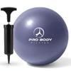 ProBody Pilates Small Exercise Ball with Pump - 9 Inch Workout Ball for Stability, Barre, Yoga, Core & Physical Therapy, Home Gym & Office Use (Indigo) view 1