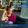ProBody Pilates Small Exercise Ball with Pump - 9 Inch Workout Ball for Stability, Barre, Yoga, Core & Physical Therapy, Home Gym & Office Use (Indigo) view 3