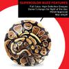 Discraft ESP Buzzz Supercolor Midrange Disc Golf Disc - Custom Design Discraft Discs - Straight Flying and Great for All Skill Levels - Free Mini Marker Included - Snake view 4