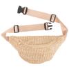 PRETYZOOM Summer Fanny Bag Artificial Straw Mini Woven Waist Pack Chest Pouch Crossbody Bag for Hiking Running Jogging 12" x 6" view 1