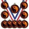 10 Pack Martial Arts Gold Medals Trophy Award with Neck Ribbons Acrylic Dome Flame Insert view 1