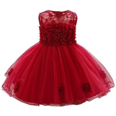 Baby Girls Dress Formal Tutu Gowns Floral Embroidered Lace Pageant Birthday Party for Infant Toddler Christening Baptism Communion Dance Evening Sundress for Photo Shoot Wine red 12-18 Months