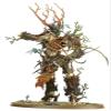 Sylvaneth Spearhead by Games Workshop view 4