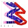 Cannon Sports Gymnastic Wands - Blue, Pink, Purple, Red, 4 Pack view 1