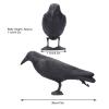 01 Simulation Black Crow Hunting, Simulation Plastic Crow Statue Hunting Bait Decoys Tool for Outdoor Garden Decoration view 2