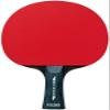 Victoras 320050 Table Tennis Racket, Rubber Clamped Racket, Basic Black, Shake Hand, Flare view 1