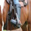 Skellerup Quatro Ranchero Chore 16" Boots Black in size 4 view 2
