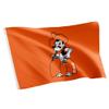 Desert Cactus Oklahoma State University OSU Flag - 3 x 5 Feet Cowboys Banner, Indoor/Outdoor Durable Fabric, 100% Polyester Design (Style 4) view 1