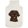 Azeeda 'Chocolate Labrador Face' Hot Water Bottle Cover (HW00019156) view 1