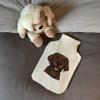 Azeeda 'Chocolate Labrador Face' Hot Water Bottle Cover (HW00019156) view 2