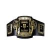Championship Belt, Victory Torch Series, Customizable & Personalized, For ALL Sports, Fantasy Football, Sale Contests, MVP, Free Design Help, Quick Shipping, Heavy Thick Metal, Gift Box view 1
