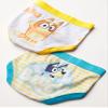 Briefs of 100% Combed Cotton Underwear Briefs, Sizes 18M, 2/3T, 4T, 4, 6, and 8 view 3
