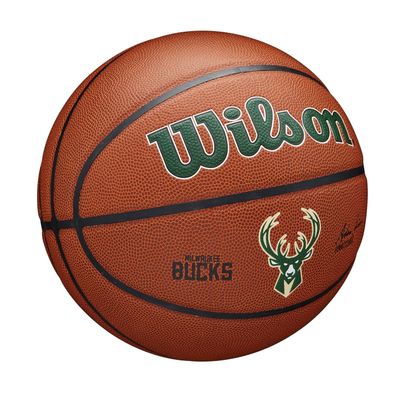 WILSON NBA Team Tribute Basketball - Size 7-29.5", Toronto Raptors