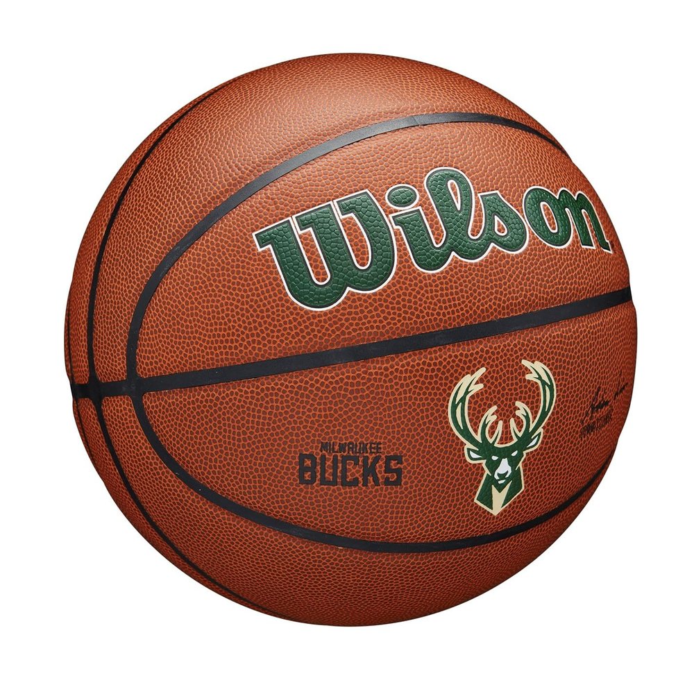 WILSON NBA Team Tribute Basketball - Size 7-29.5", Toronto Raptors