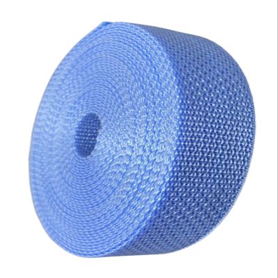 GGR Supplies Durable Polypropylene UV Resistant Webbing Straps Ideal for DIY Projects, Pet Collars, Outdoors, Crafts and Much More. 1 Inch (Baby Blue, 100)
