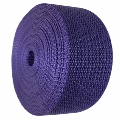 Durable Polypropylene UV Resistant Webbing Straps Ideal for DIY Projects, Pet Collars, Outdoors, Crafts and Much More. 1 Inch (Purple, 100)