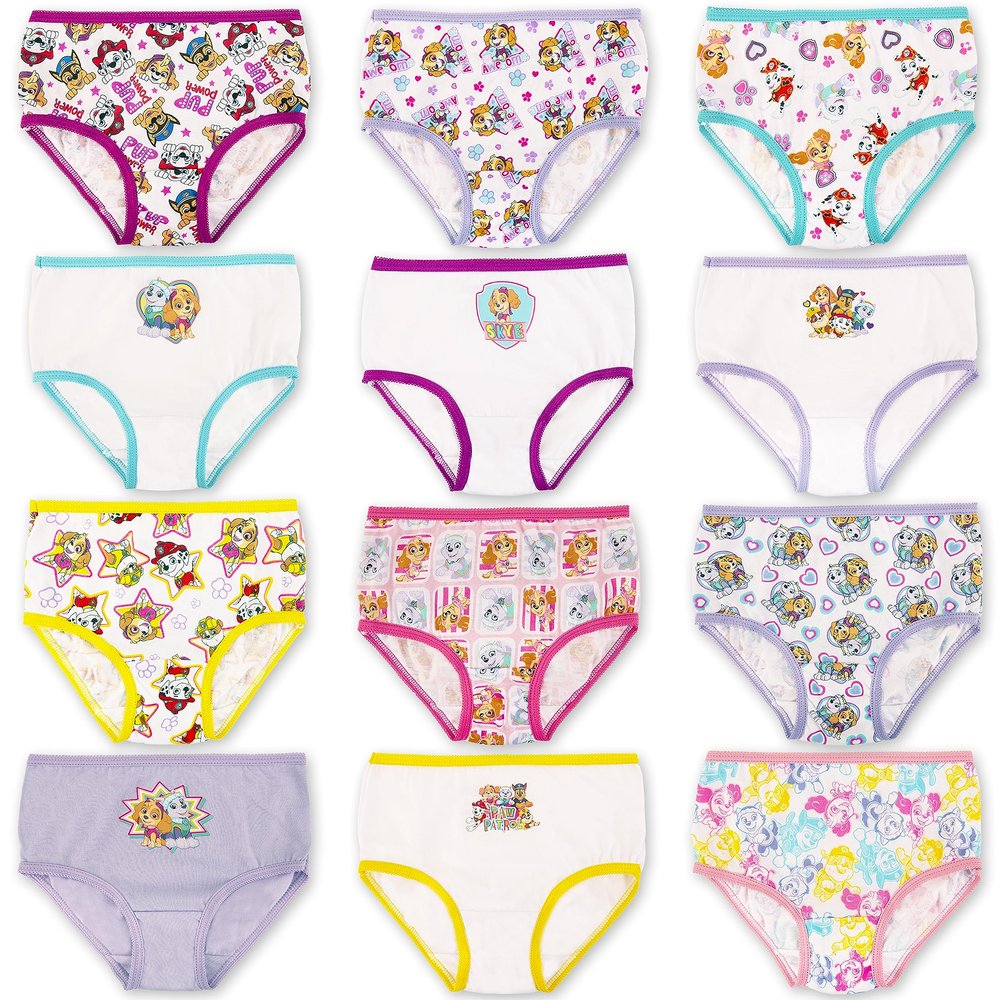 Paw Patrol Girls 12-days Advent Underwear To Make The Holidays And Potty Training Fun, Available In Sizes 2/3t, 4t 5t Briefs, Paw Tg 12pk_box, 4T US