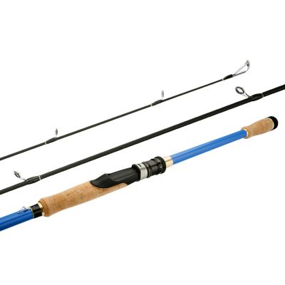 ZYHYD 3.0M Long Road sub Fishing Rod, Three-Section Portable Carbon Solid Fishing Rod, Long-Term cast Road sub Rod, sea Rod, Fishing Gear 2.4M, 2.7M ZYHYD (Color : Spining Rod, Size : 2.7M)