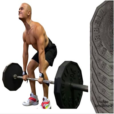Fake Weights - Replica Weight Plates Prop Set, Styrofoam Olympic Style 45 lb Barbell Barbell Bar Sold Separately. Foam Weights, Light Weights, Props Jokes