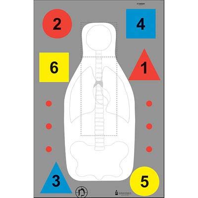 100 Pcs, 23" x 35" Nwsde Multi-Purpose Training Target(Black, Red, Blue, & Yellow)