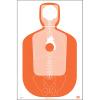 24 Pcs, 23" x 35" Randolph Co (Nc) Sheriff Tq-19 Qualification Target(Orange) W/Vital Anatomy view 1