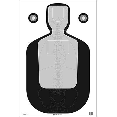 24 Pcs, 23" x 35" Tq-19 Qualification Target W/Vital Anatomy