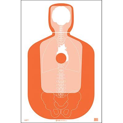 100 Pcs, 23" x 35" Randolph Co (Nc) Sheriff Tq-19 Qualification Target(Orange) W/Vital Anatomy