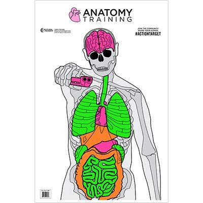24 Pcs, 23"x35" Anatomy Training Target