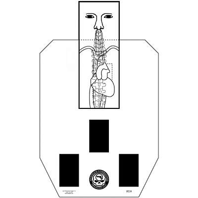 100 Pcs, 18" x 30" Die Cut Ipsc/Idpa Facer Training Target W/Vital Anatomy