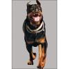 48 Pcs, 24" x 34" Rottweiler Dog Split Second Target view 1