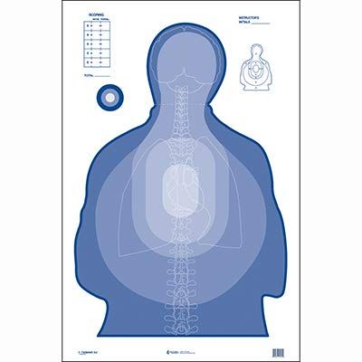 100 Pcs, 24.5" x 40" Transitional Target with Vital Anatomy