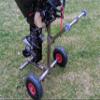 Portable Outboard Boat Motor Transport Trolley, Extended Wheelbase, Additional Top Wheels, Stainless Steel, 100 kg view 1