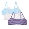 Fruit of The Loom Girls' 3 Pack Spaghetti Strap Sports Bra, Happy Stripe/White/Eyeshadow, 32 view 1